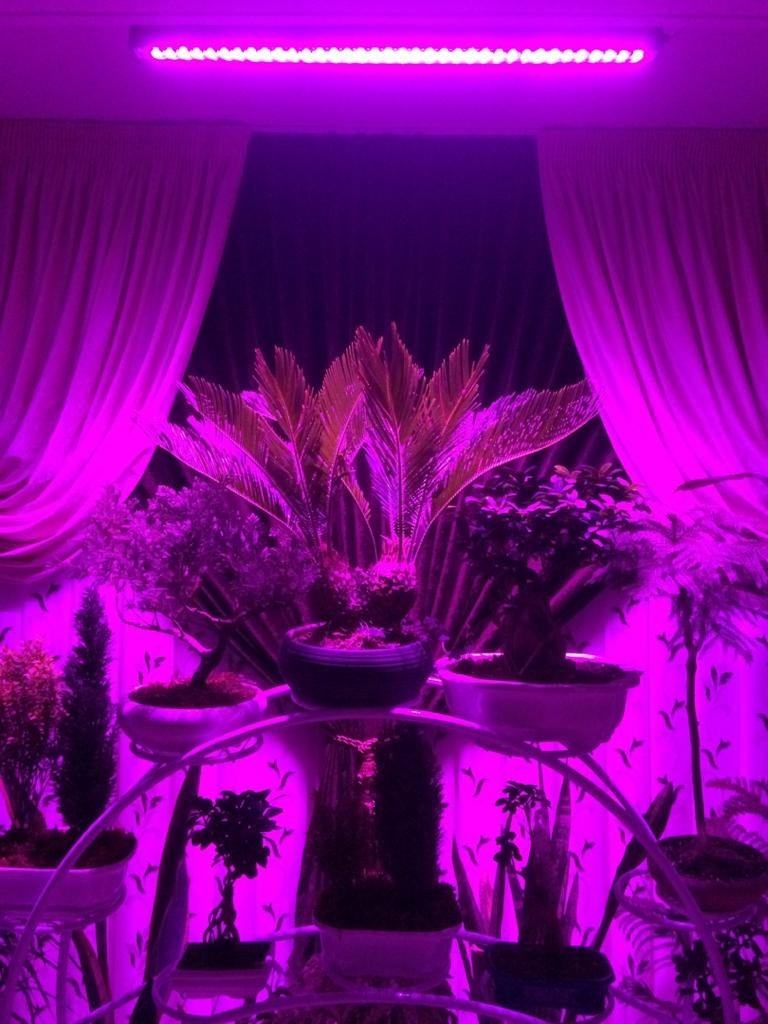 تصویر  وال واشر 12 ال ای دی رشد گیاه 50 سانت